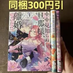 拝啓見知らぬ旦那様、離婚していただきます = To My Unfamiliar…