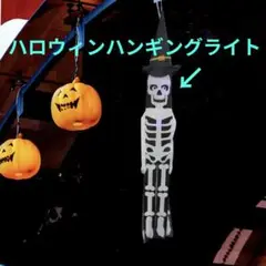 Item thumbnail for item 4dd15b3e-ed4c-4e42-9386-df4305d49f39