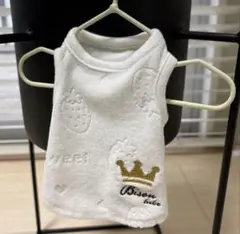 Item thumbnail for item 02323326-138a-45ff-9dc1-a0b1bd7c0403