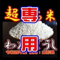 新米!10kg もち米 ふわふわお餅のわたぼうし! 令和4年産
