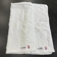 Item thumbnail for item e2cee1e2-9d73-4bc6-a48b-bce3b480ec66