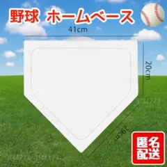 ホームベース 練習用 軽量 丈夫 少年野球 室内 屋外 投球練習