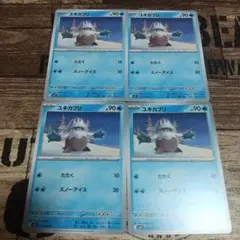 ユキカブリ