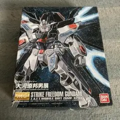 会場限定 MG ストライクフリーダムガンダム 大河原邦夫展新品未開封 新品 MG ストライクフリーダムガンダム メカニックデザイナー
