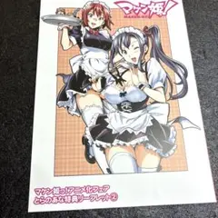 マケン姫っ! とらのあな　購入特典　リーフレット　② レア　非売品