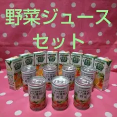 ★16種類の野菜 u0026 野菜生活ジュースセット ★3点プレゼント付き★送料無料★