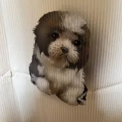 わんちゃん柄着物