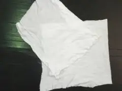 Item thumbnail for item e0fc1b54-788d-414a-825d-1de1ea8ce23b