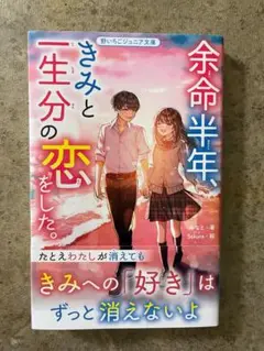余命半年、きみと一生分の恋をした。