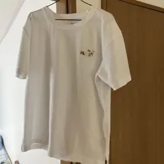 Item thumbnail for item af61bd7d-251a-4a99-9c8f-08e80a748477