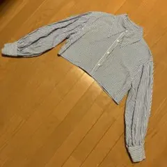 ストライプ クロップド丈 長袖シャツ
