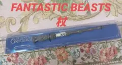 Fantastic Beasts 杖ボールペン（ニワトコの杖）