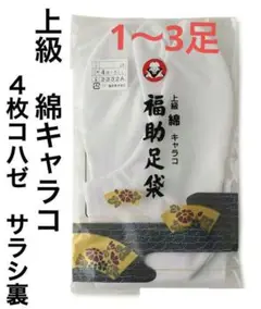 Item thumbnail for item 744a0657-58e0-46ca-88f4-aa4ba9641ab0