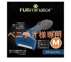 Item thumbnail for item 1a201505-e322-4916-ace2-fa124bb1472b