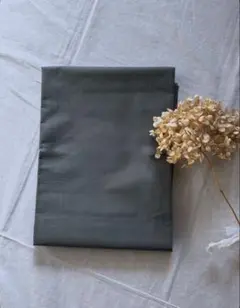 Item thumbnail for item b12c931b-fbb0-4961-a487-492c8546ad60