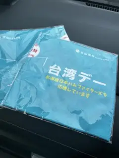 北海道日本ハムファイターズ台湾デー応援タオル ２枚セット