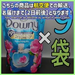 Item thumbnail for item 9cc833cf-fd17-4b49-8d9a-fcc3e918254e