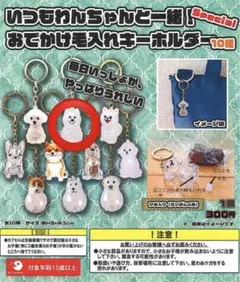 Item thumbnail for item 95287b17-cca2-403d-a0e5-0fef7a0d5a75