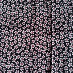 Item thumbnail for item 894622d9-8b07-4c20-a00d-98995afa0ac1