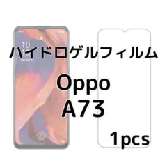 ハイドロゲルフィルム Oppo A73 1枚 nv