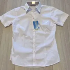 Item thumbnail for item 56483621-f04d-4635-bd7c-2ab9250b854c