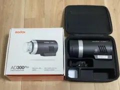 Item thumbnail for item f851a684-7149-48df-901f-6adccc415cfd