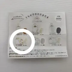 うちの子のけだまだま 三毛猫 1点