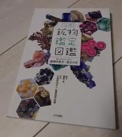 必携 鉱物鑑定図鑑 楽しみながら学ぶ鉱物の見方・見分け方 Amazon.co.jp: ！帯あり必携 鉱物鑑定図鑑 楽しみながら学ぶ鉱物