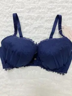 新品　トリンプ　フロラーレ　ブラジャー　F75　ネイビー