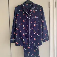 Item thumbnail for item 84766e19-7cb3-4147-a088-8cd18acfaab5