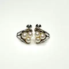 Item thumbnail for item 4208e43e-2a77-4c13-888d-9faae320f268