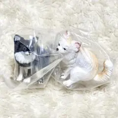 Item thumbnail for item e0eff251-0a52-4a4a-983d-1f6517bd4a77