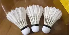バドミントン シャトル 3個セット