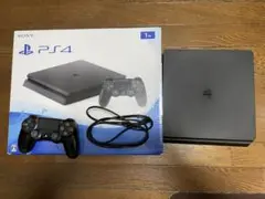 PlayStation4 1TB CUH-2000BB01