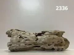 流木【2336】