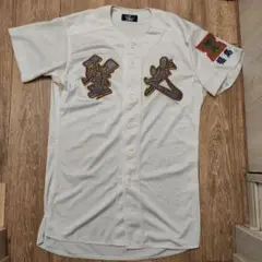 Item thumbnail for item 87451645-ace9-491d-a68c-627c55cd907e