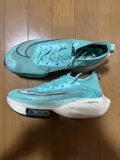 Nike Air ZoomX AlphaFly Next% 26.0cm