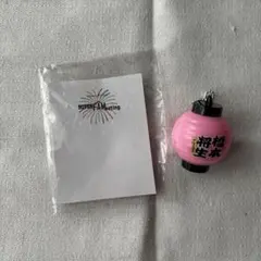 Item thumbnail for item 00a253ea-e55f-4935-a785-a12680734977