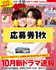 ザテレビジョン 10月号 応募券1枚
