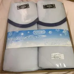 TOYOBO ひんやりさらさら敷きパット　2枚セット 冷感敷きパット