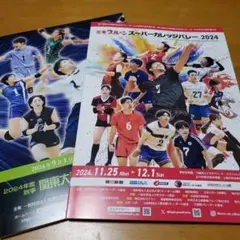 大学バレーボール　パンフレット２冊+おまけ付き