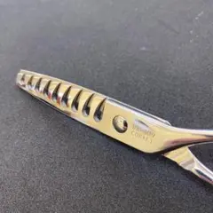 Item thumbnail for item 0b3706a6-5197-4278-be64-055d5e364f4f