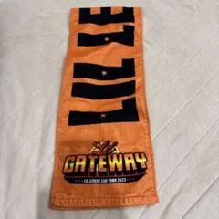 LIL LEAGUE LILGATEWAY タオル