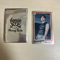 straykids スキズ エコパ事後通販 チャンビン ライブフォトカード