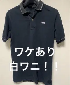 Lacoste 黒ブラックポロシャツ M 白ワニ