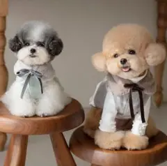 Item thumbnail for item 1c8aaa36-a9a1-4d8f-8542-850d0d72237a