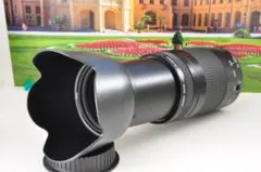 Item thumbnail for item 91aa8eed-464f-4184-9949-3a04a18f6f40