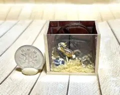 ドールハウス ミニチュア ハンドメイド 樹脂粘土 シマリス