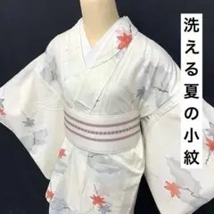 ◯【売切値下げ】507mku13◯洗える夏の着物！小紋 楓 アイボリー 絽◯美品