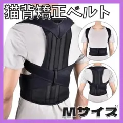 Item thumbnail for item a6472729-63ab-4eb4-a4c3-6c1464f49227